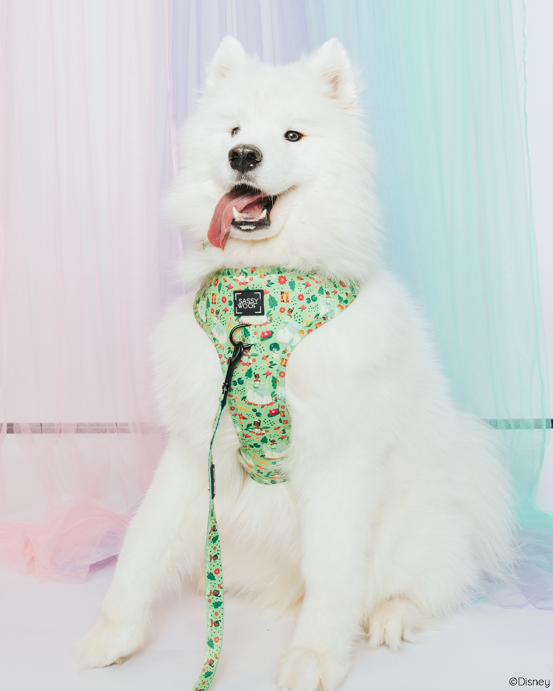 Dog Leash - Disney's Tiana