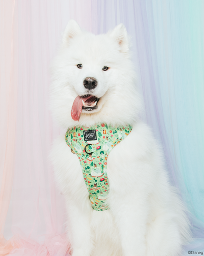 Dog Two Piece Bundle - Disney's Tiana