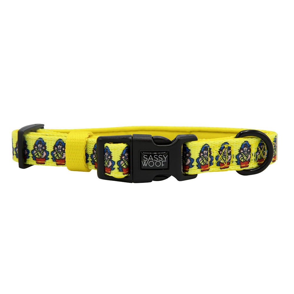Dog Four Piece Bundle - Wonder Woman™