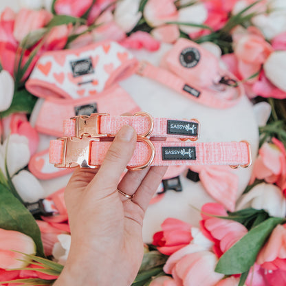 Dog Collar Three Piece Bundle - Dolce Rose