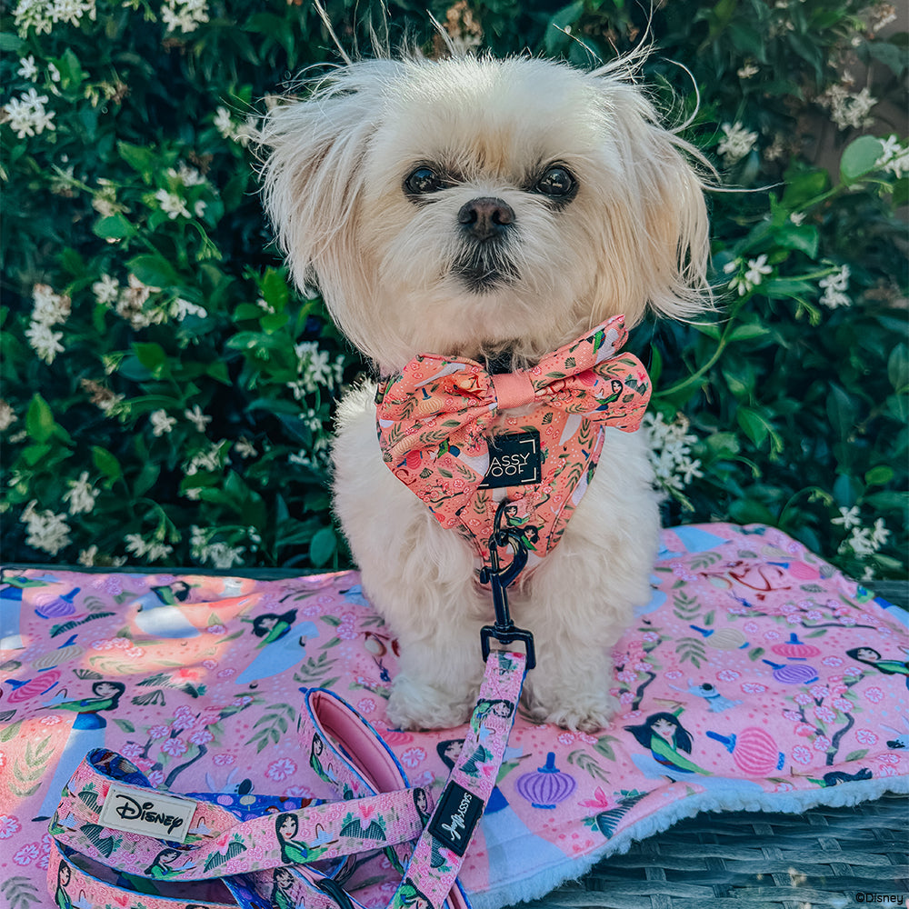 Dog Adjustable Harness - Disney's Mulan