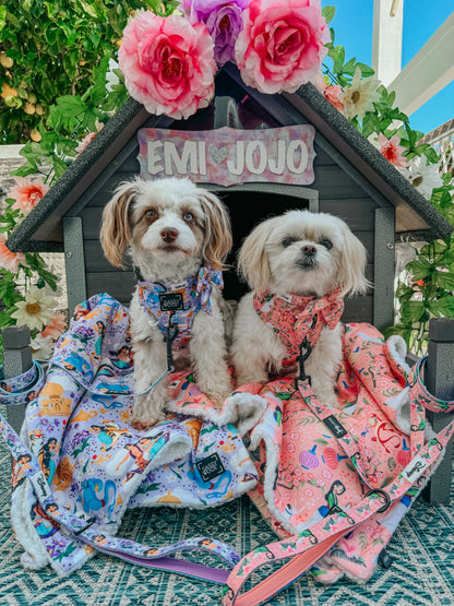 Pet Blanket - Disney's Jasmine