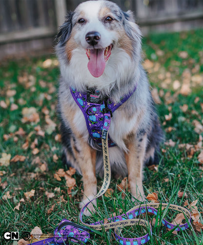 Dog Four Piece Bundle - Mojo Jojo™