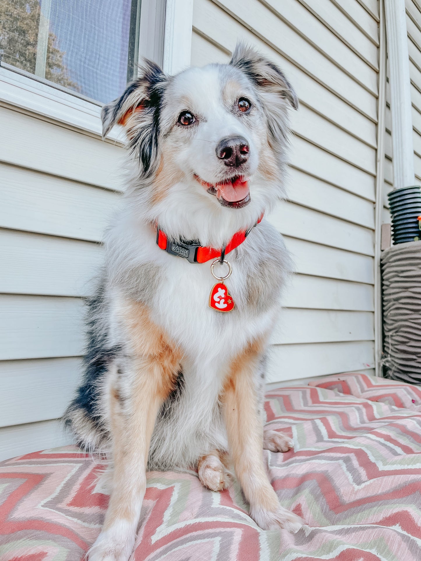 Dog Collar Three Piece Bundle - Neon Red
