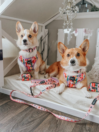 Dog Two Piece Bundle - Disney's Bambi