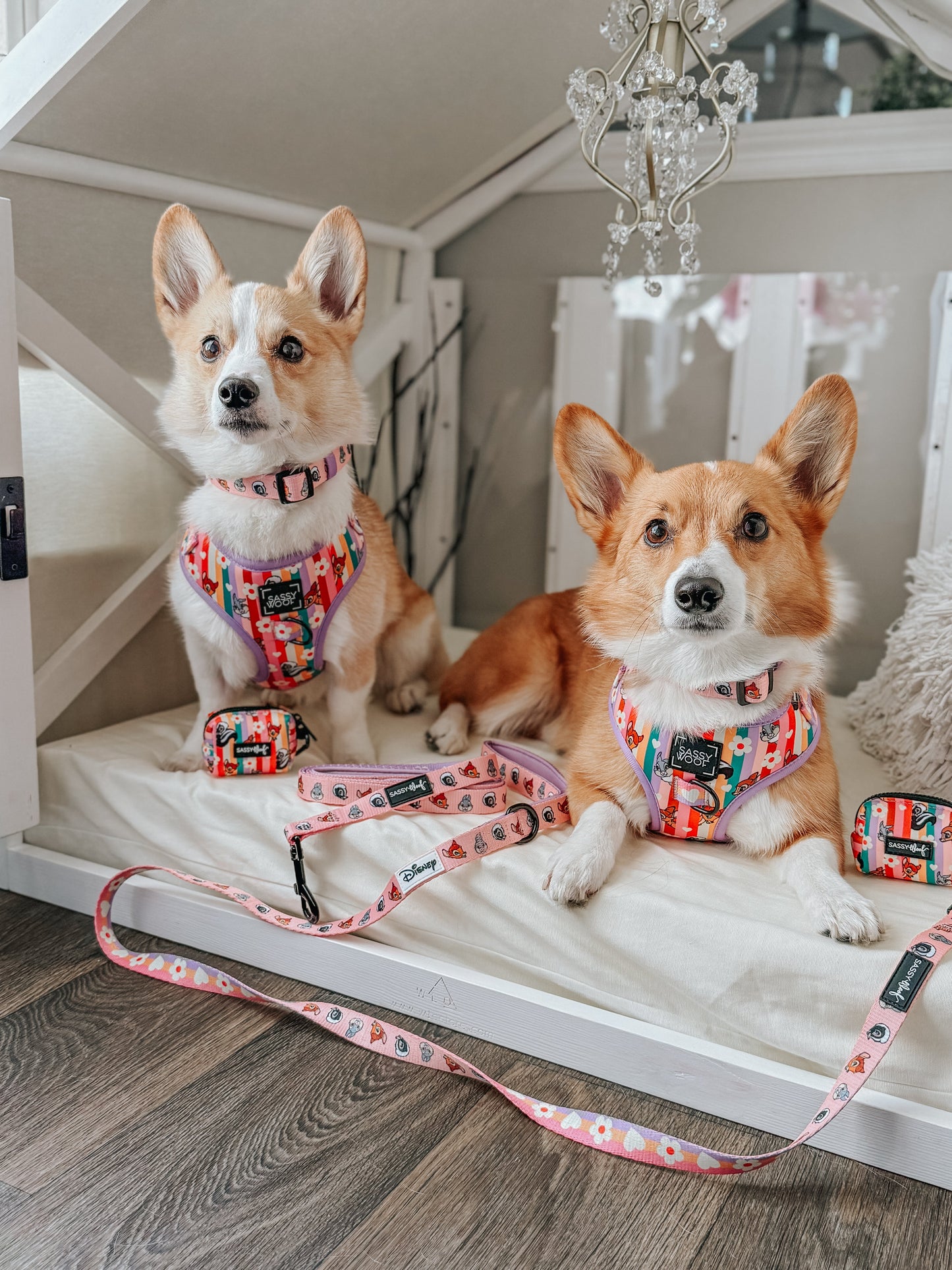Dog Four Piece Bundle - Disney's Bambi