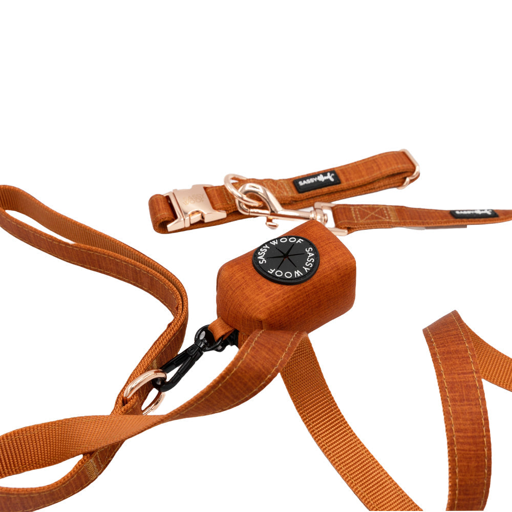 Dog Collar Three Piece Bundle - Foxy