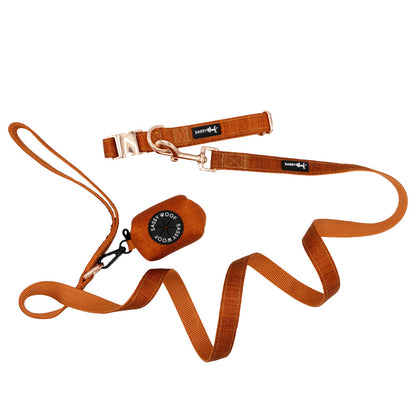 Dog Collar Three Piece Bundle - Foxy