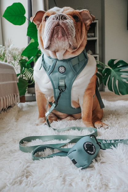 Dog Step-in Harness - Sage