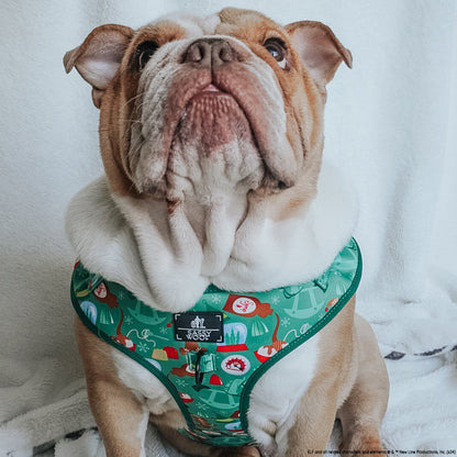 Dog Four Piece Bundle - Elf™