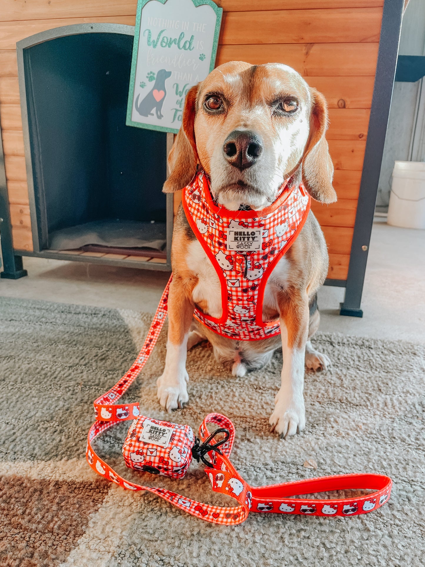 Dog Two Piece Bundle - Hello Kitty® Red Classic
