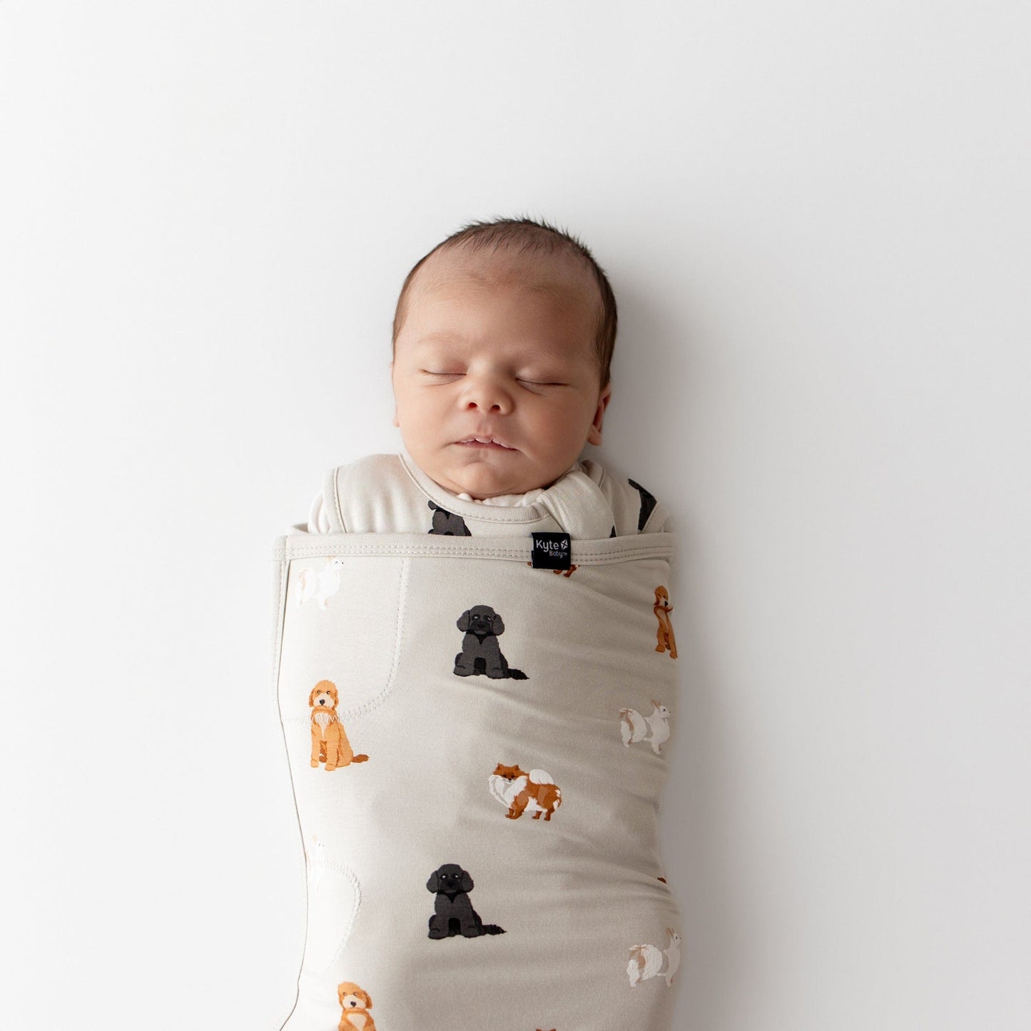Sleep Bag Swaddler in Fluffy Dog 1.0