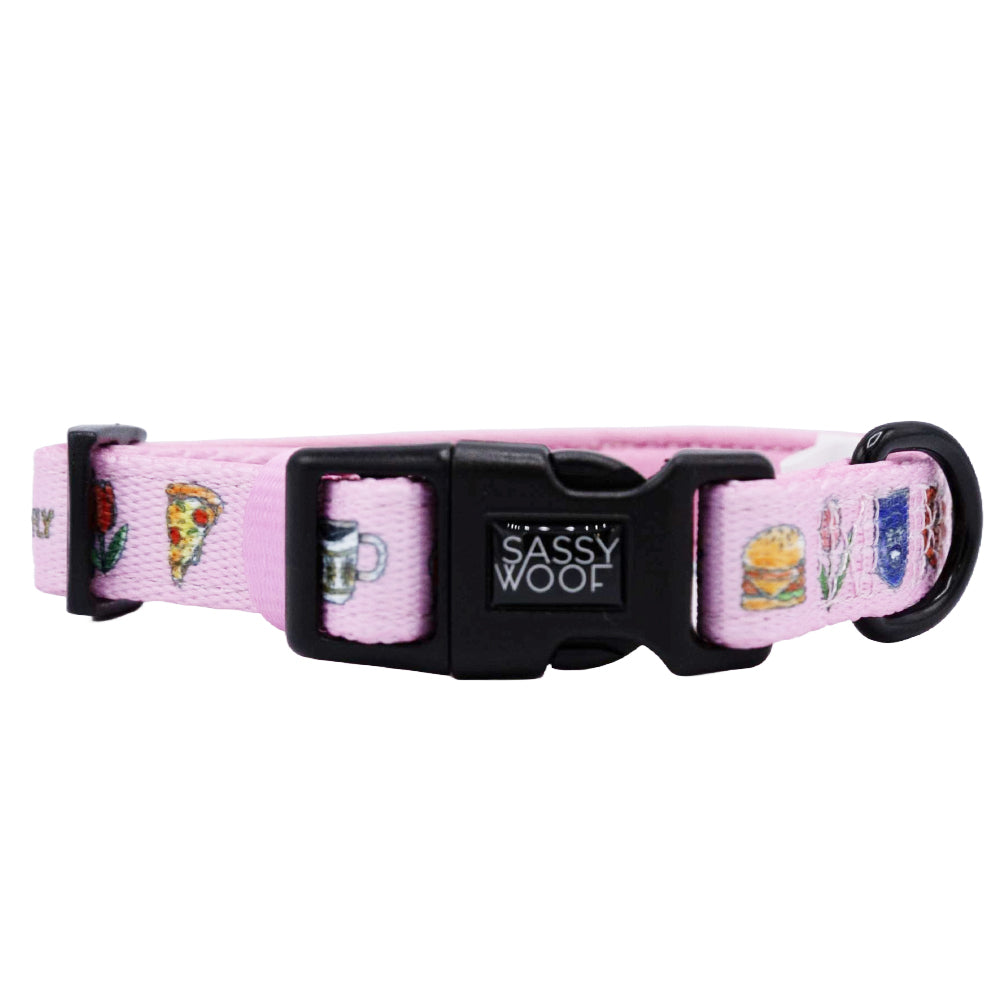 Dog Collar Three Piece Bundle - Gilmore Girls™