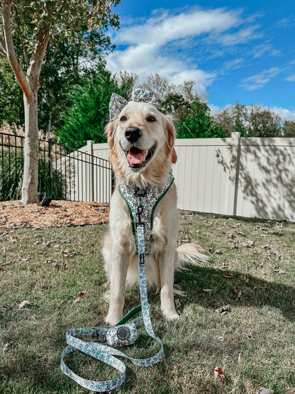 Dog Two Piece Bundle - Under the Mistletoe