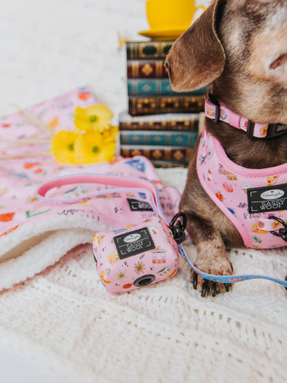 Dog Collar Three Piece Bundle - Gilmore Girls™