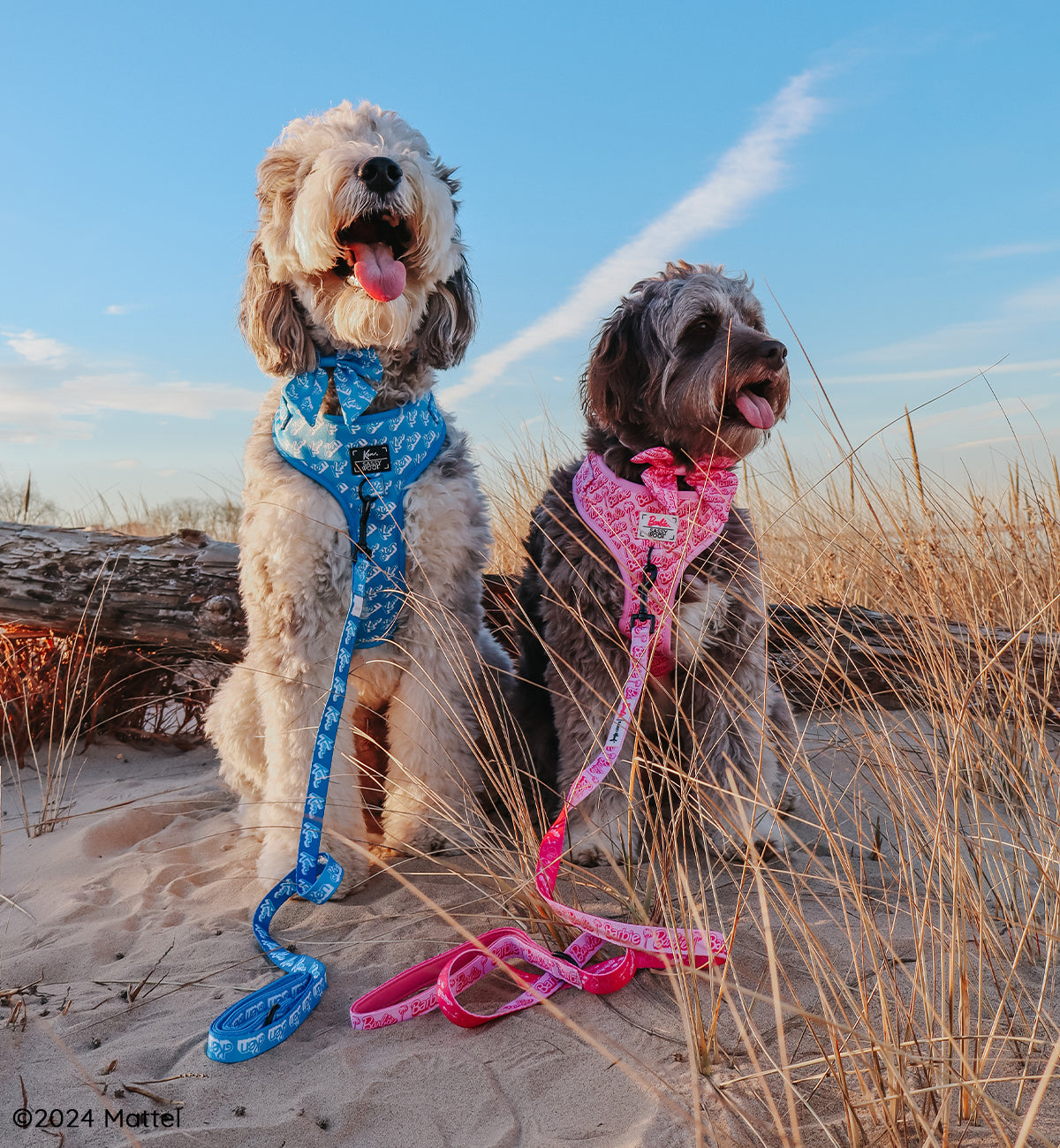 Dog Two Piece Bundle - KEN™
