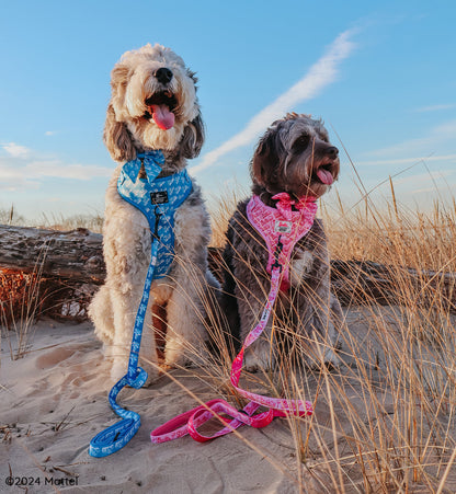 Dog Two Piece Bundle - KEN™