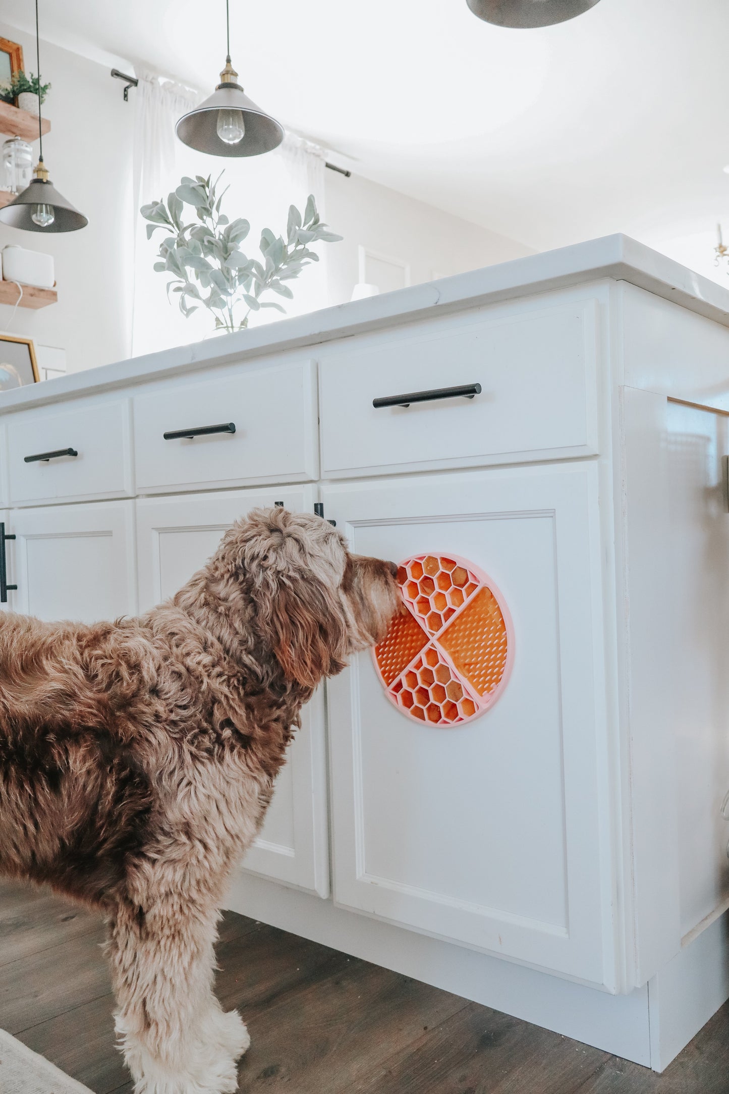 Dog Lick Mat