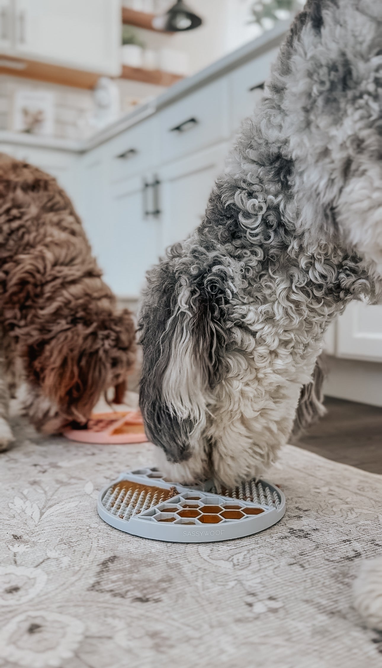 Dog Lick Mat