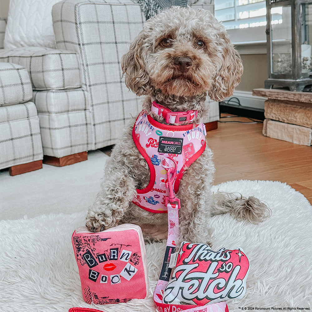 Dog Toy - Mean Girls™