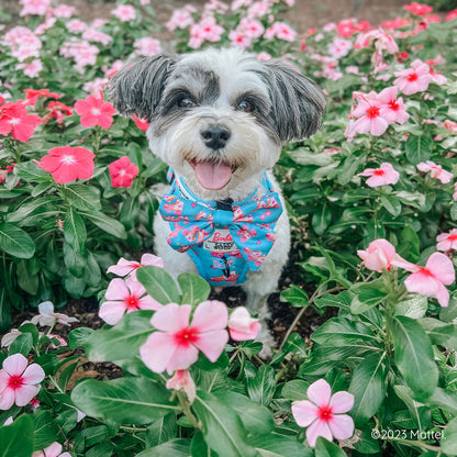 Dog Adjustable Harness - BARBIE™ On a Roll