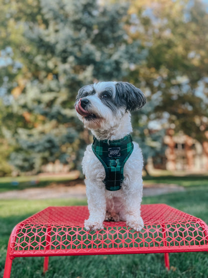 Dog Adjustable Harness - Barks of Holly