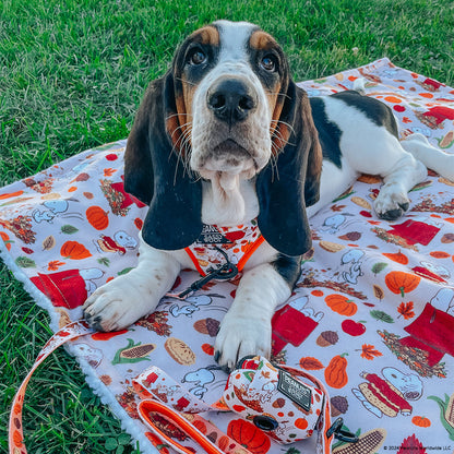 Dog Waste Bag Holder - Peanuts™ Harvest