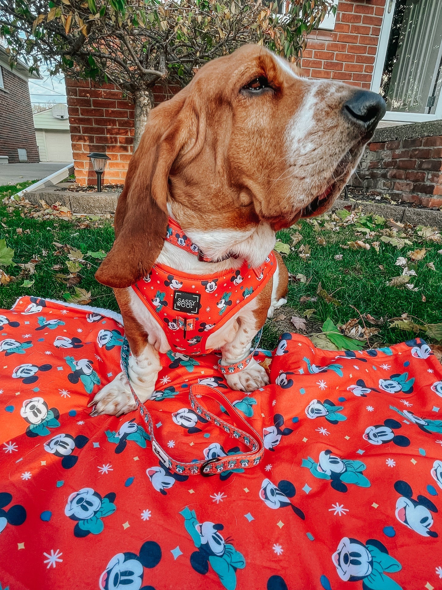 Pet Blanket - Disney Holiday Collection