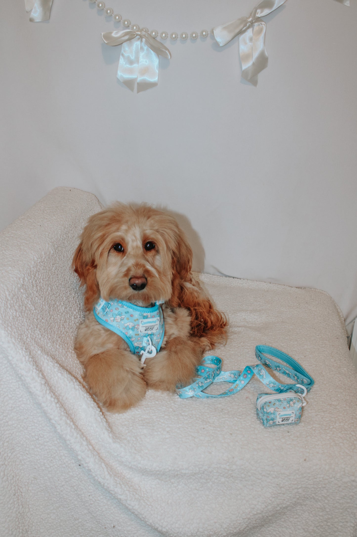 Dog Waste Bag Holder - Cinnamoroll™