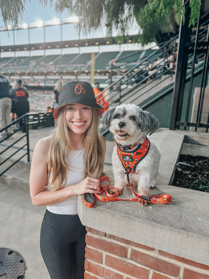 Dog Adjustable Harness - MLB™ x Peanuts™ Baltimore Orioles™