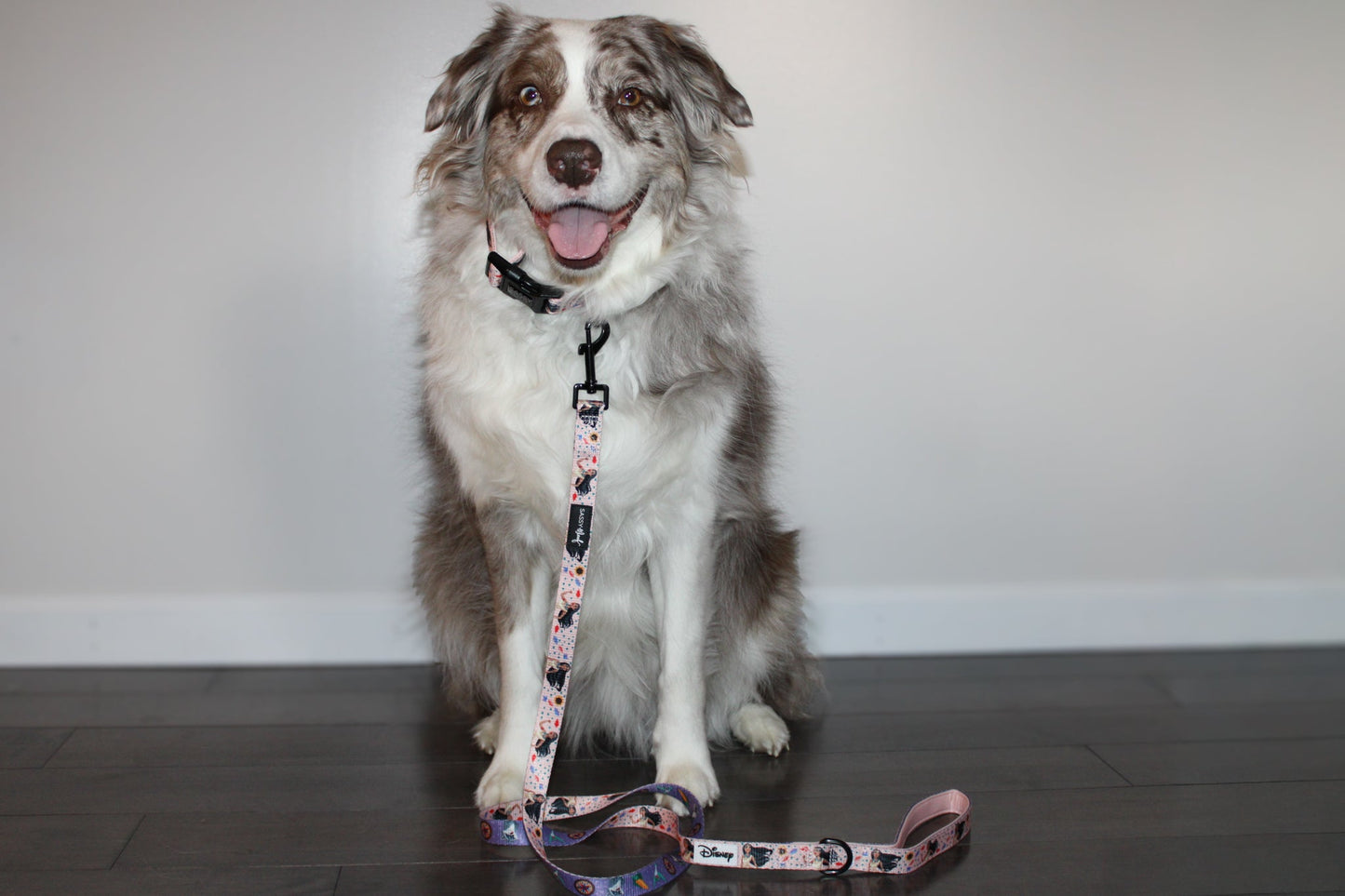Dog Collar - Disney's Pocahontas