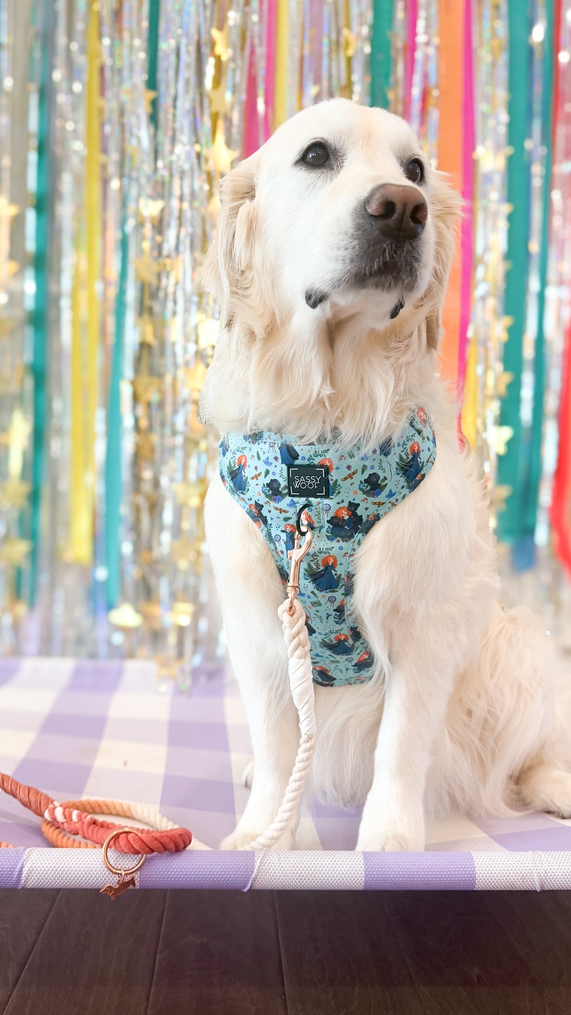 Dog Adjustable Harness - Disney's Merida