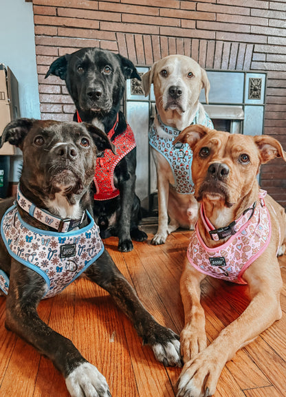 Dog Adjustable Harness - Let it Bow