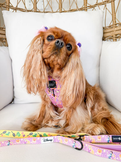 Dog Two Piece Bundle - Disney's Rapunzel