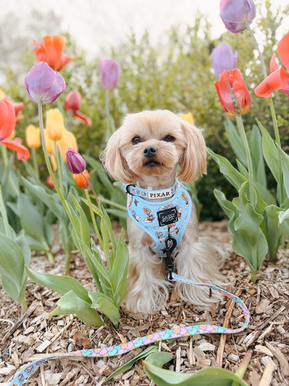 Dog Four Piece Bundle - Disney and Pixar's Up