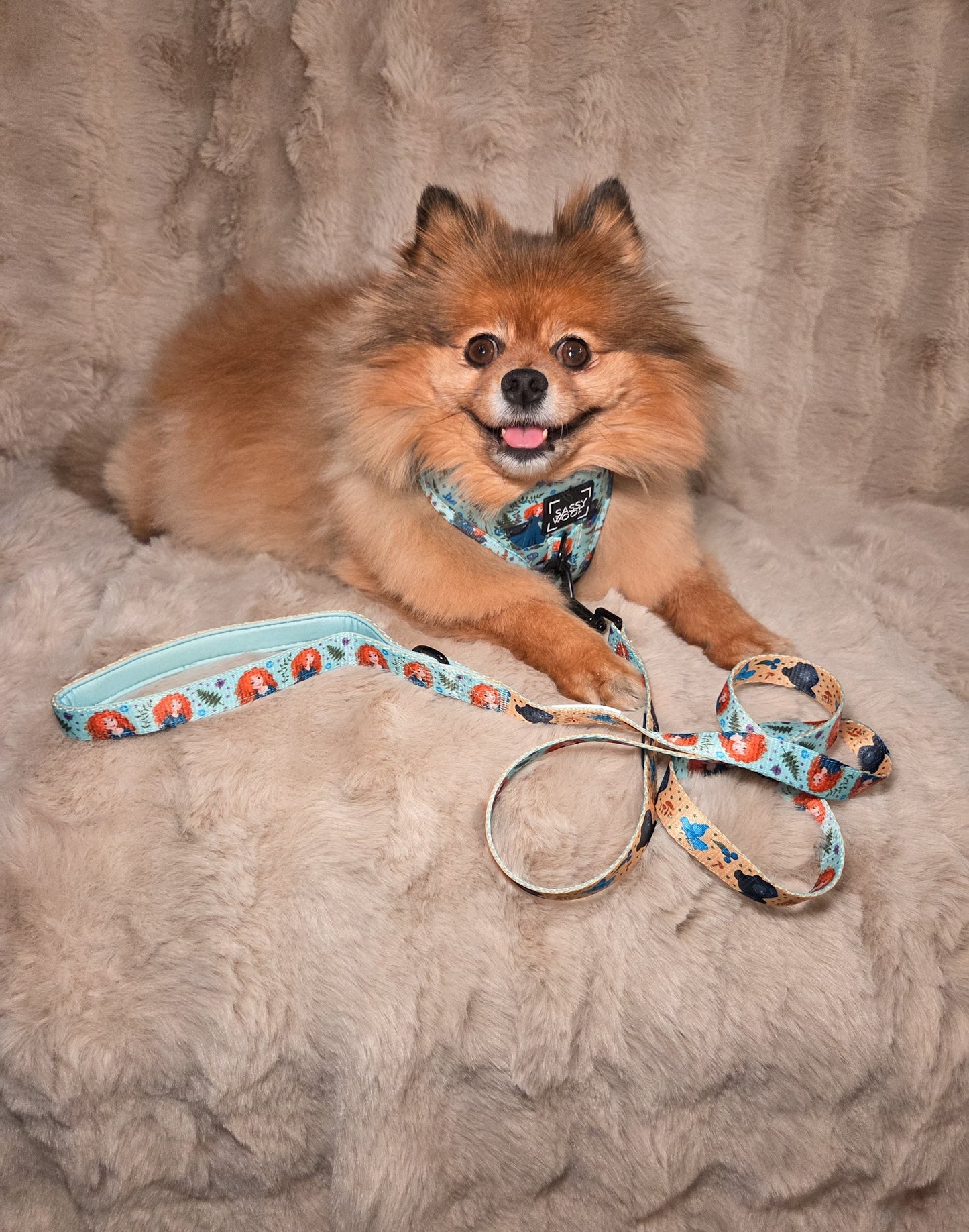 Dog Adjustable Harness - Disney's Merida