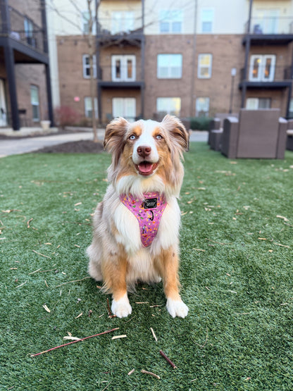 Dog Two Piece Bundle - Disney's Rapunzel