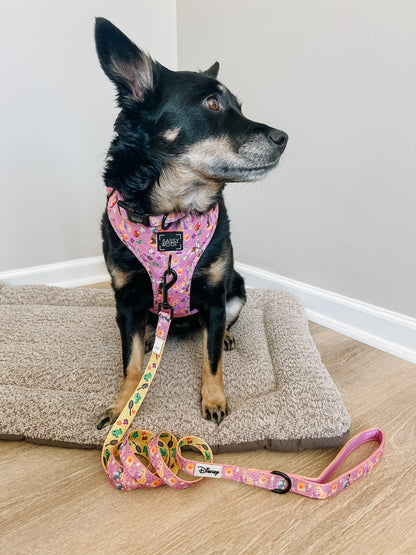 Dog Two Piece Bundle - Disney's Rapunzel