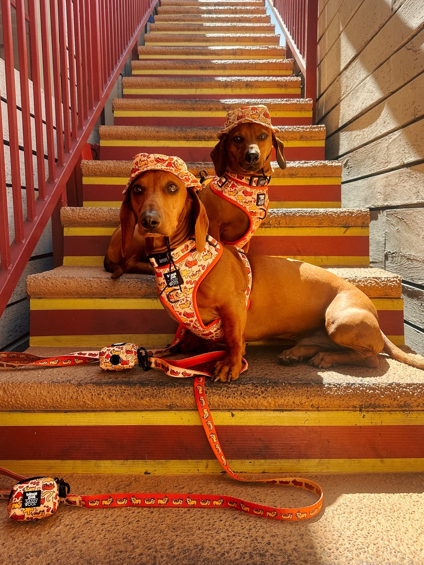 Dog Adjustable Harness - Hot Dawg