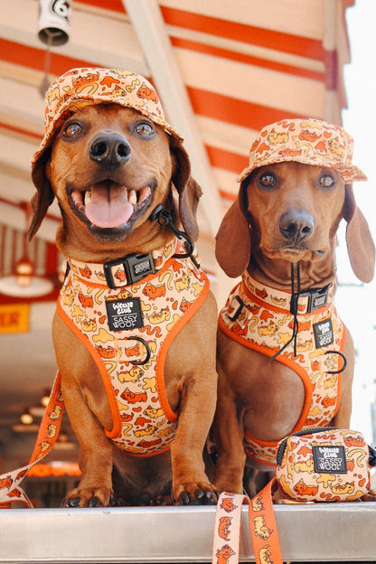 Dog Adjustable Harness - Hot Dawg