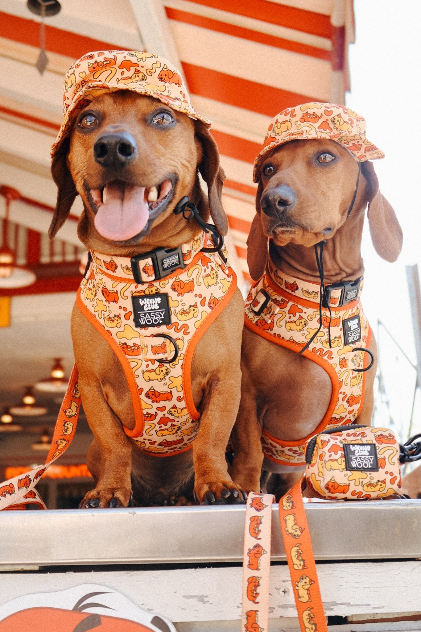Dog Adjustable Harness - Hot Dawg