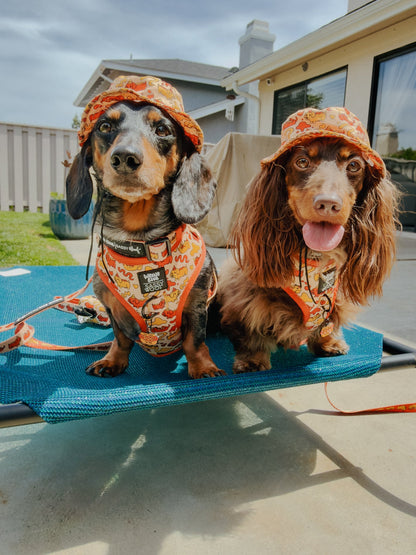 Dog Adjustable Harness - Hot Dawg
