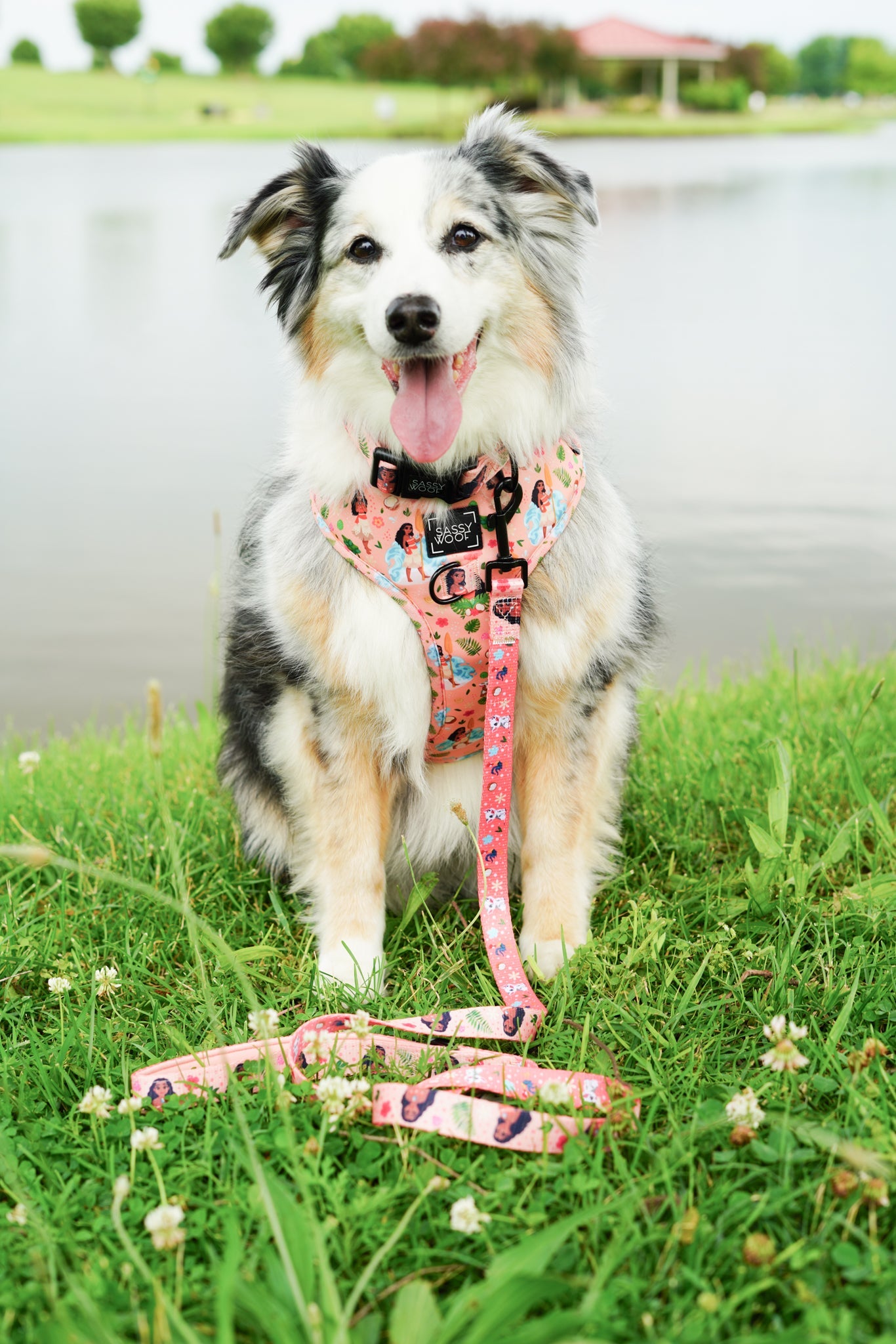 Dog Adjustable Harness - Disney's Moana