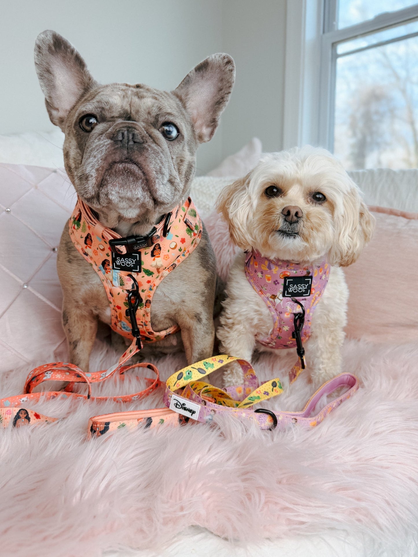 Dog Adjustable Harness - Disney's Moana