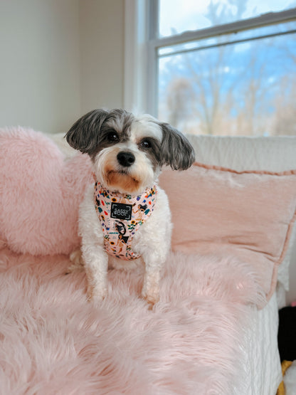 Dog Adjustable Harness - Disney's Pocahontas