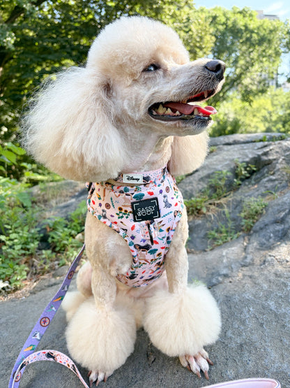 Dog Adjustable Harness - Disney's Pocahontas