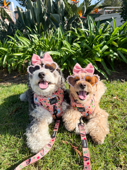 Dog Adjustable Harness - Disney's Moana