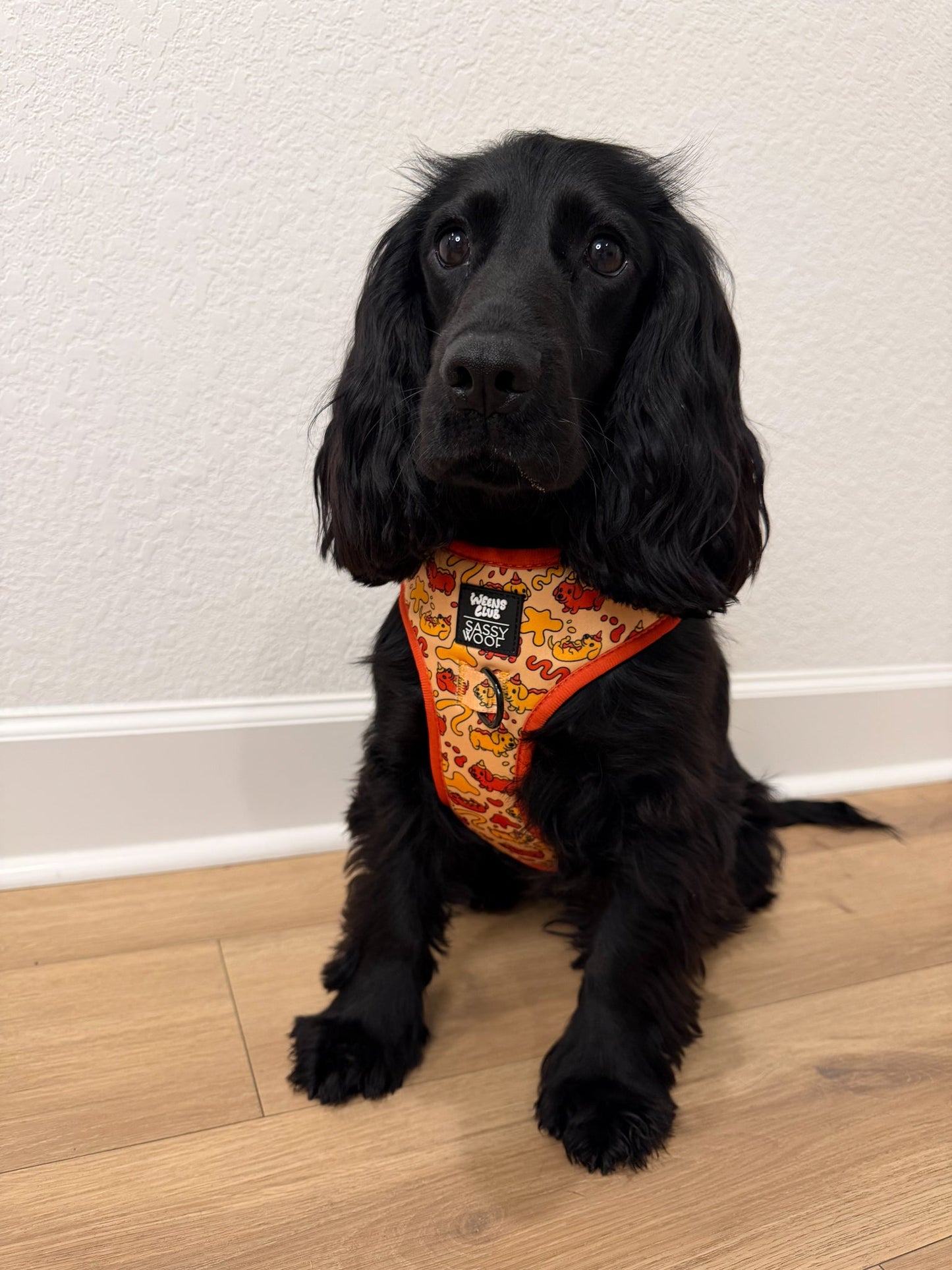 Dog Adjustable Harness - Hot Dawg