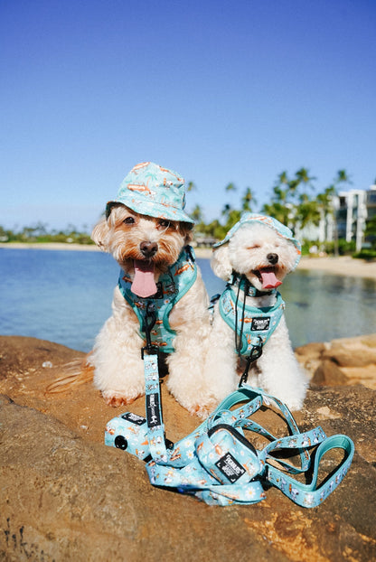 Dog Leash - Peanuts™ Road Tripping
