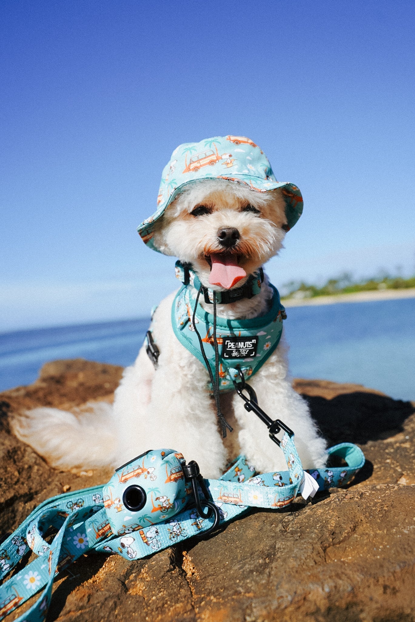Dog Bucket Hat - Peanuts™ Road Tripping